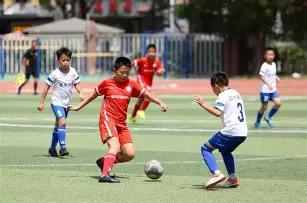 王楚钦勇闯,重庆冠军赛,男单八强,云顶娱乐,云顶娱乐官网,云顶娱乐官网玩家首选